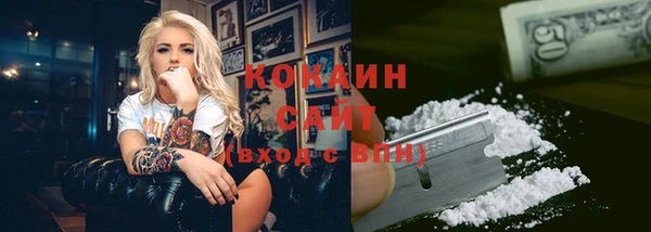 трава Наволоки
