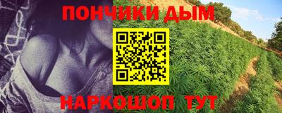 индика Абинск