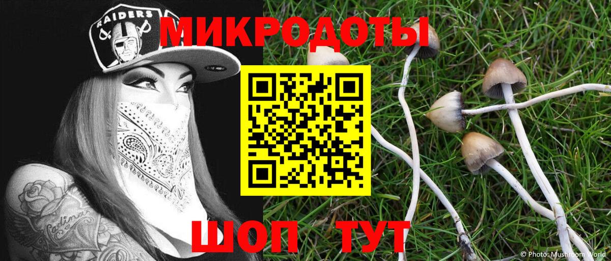 Галлюциногенные грибы прущие грибы  цены наркотик  Клинцы  Вход с VPN 