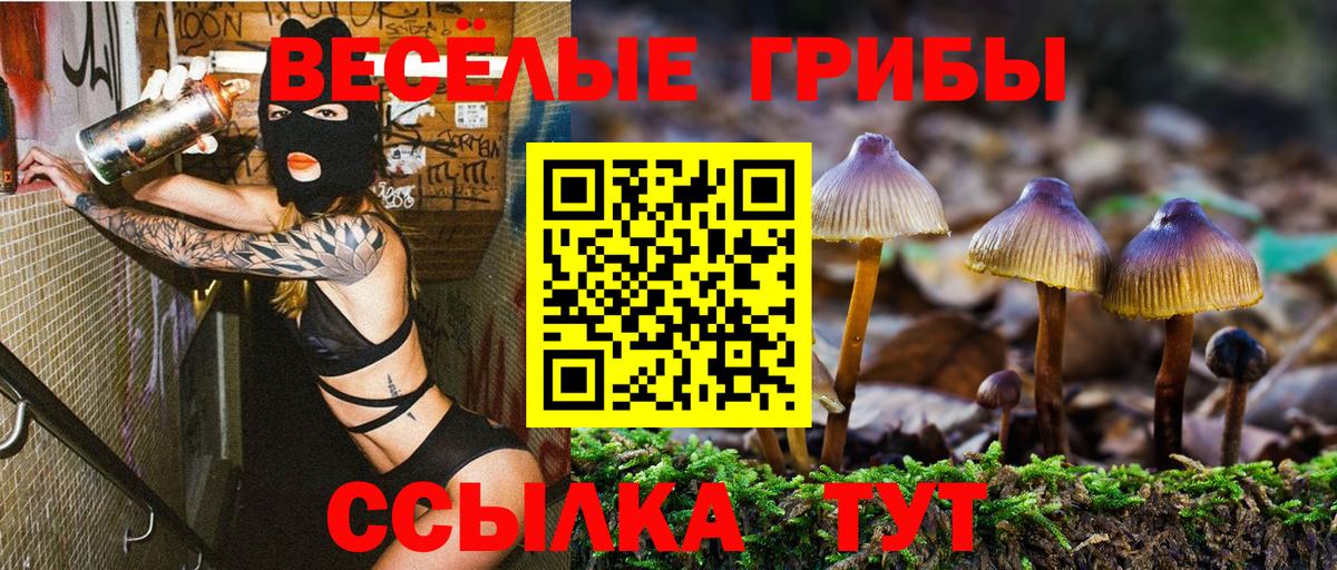 Псилоцибиновые грибы MAGIC MUSHROOMS Клинцы
